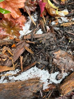 Sarah Jean Vineyards